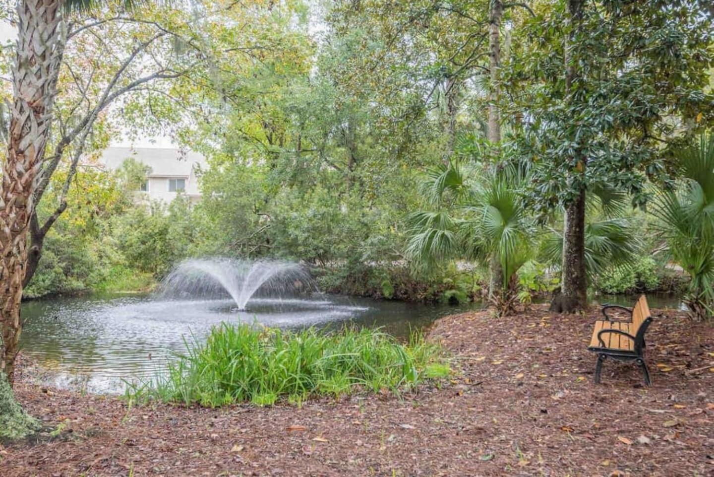Forest Beach Condo Walk To Coligny, Pool, Tennis Хилтън Хед Айлънд Екстериор снимка